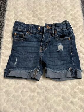 Celebrity Pink Dark Blue Denim Distressed Kids Shorts